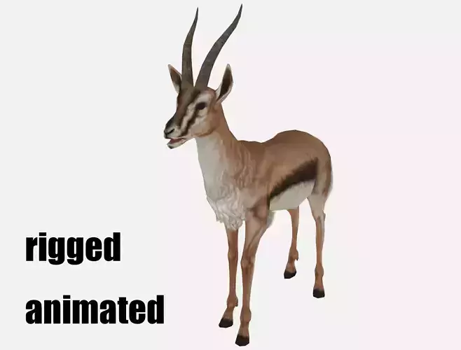 antelope goat caprine sheep lamb deer animation Low-poly 3D model