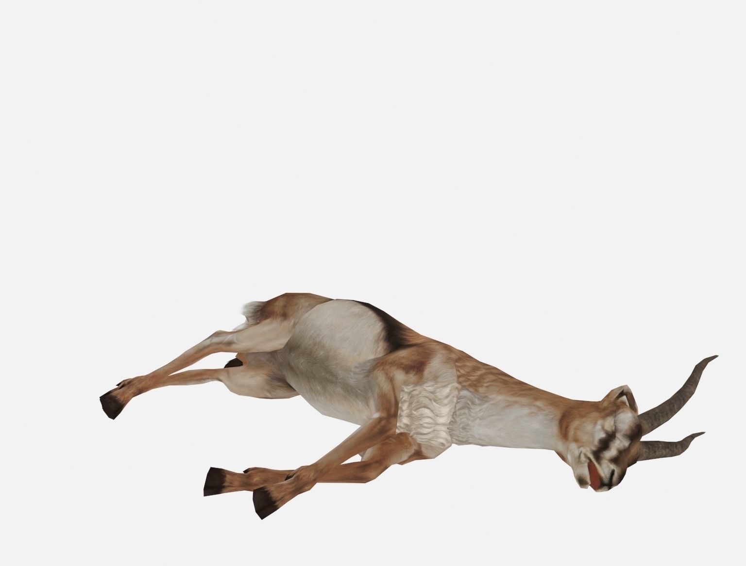 antelope goat caprine sheep lamb deer animation Low-poly 3D model_8