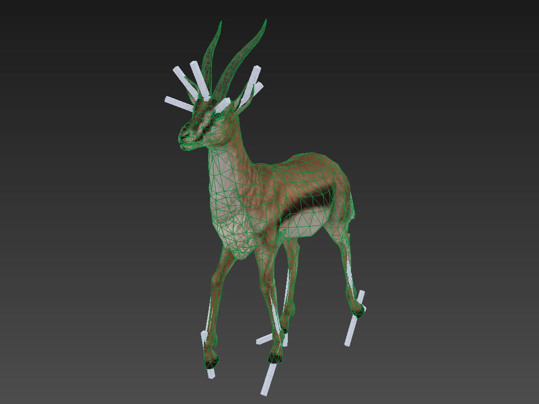 antelope goat caprine sheep lamb deer animation Low-poly 3D model_13