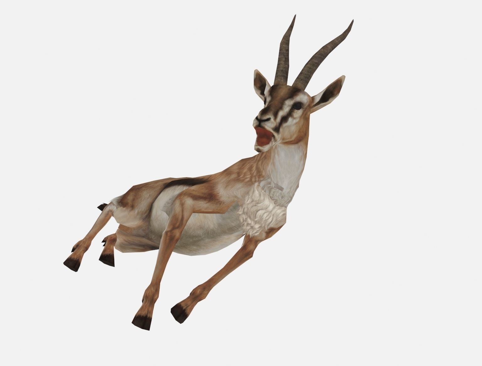 antelope goat caprine sheep lamb deer animation Low-poly 3D model_6