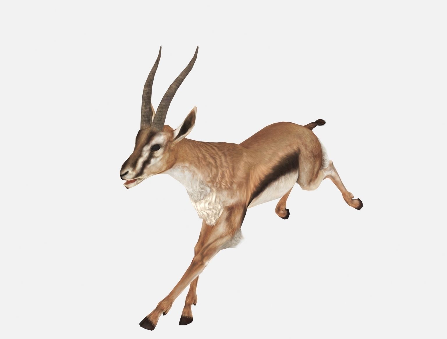 antelope goat caprine sheep lamb deer animation Low-poly 3D model_11