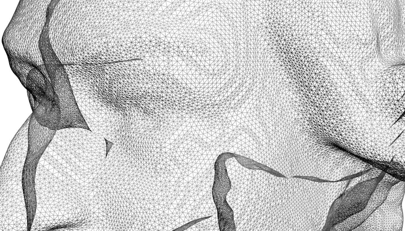 Mozart Bust 3D model_4