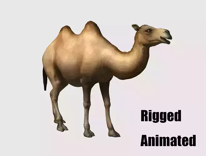 camel animation 3D model