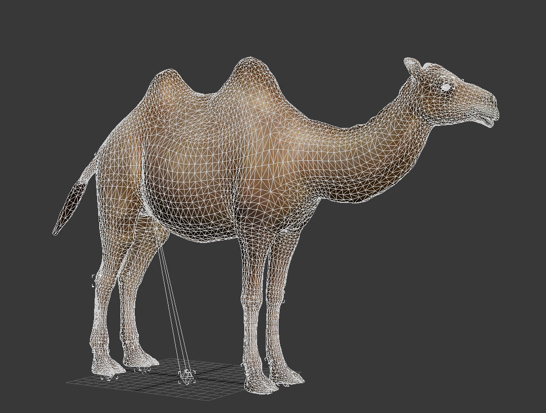 camel animation 3D model_12