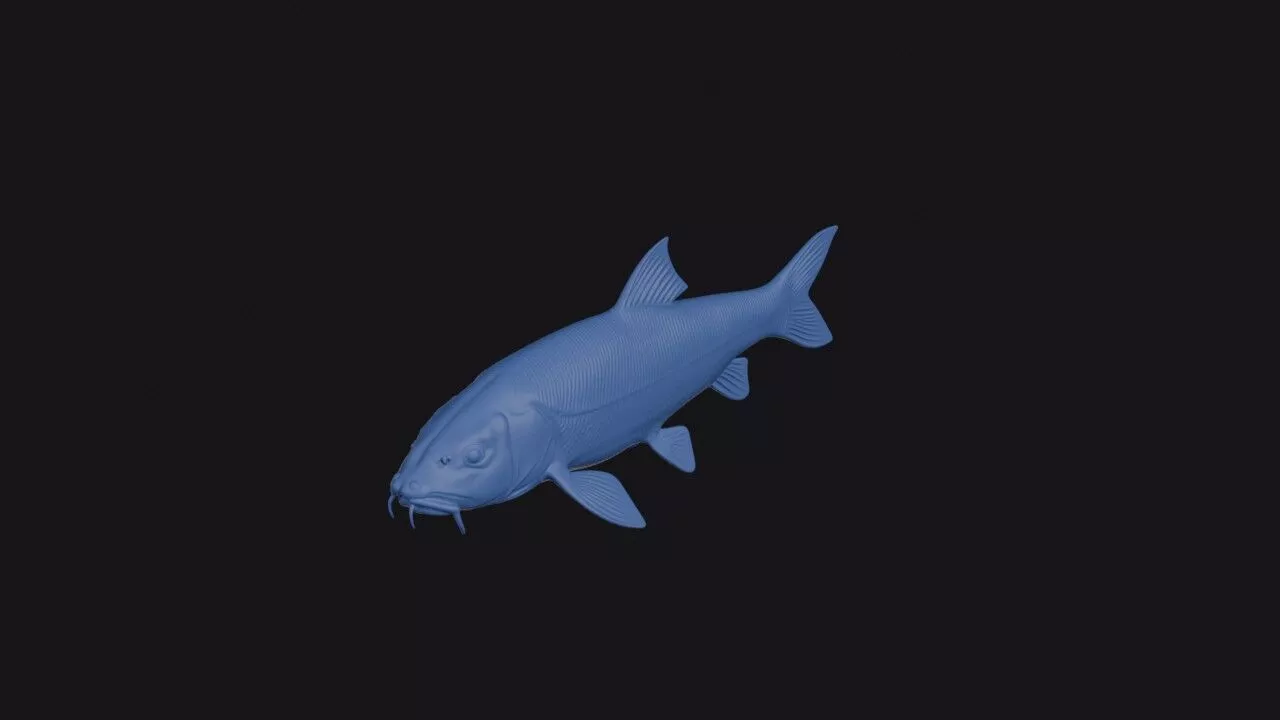 Barbel Chub 3D print model