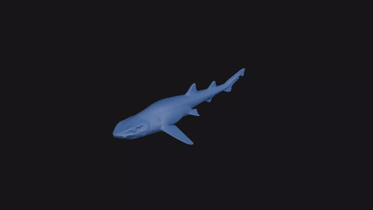 Australian Sawtail Catshark 3D print model