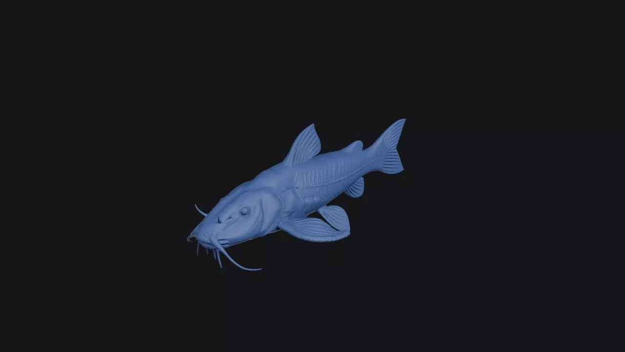 Andean Catfish 3D print model