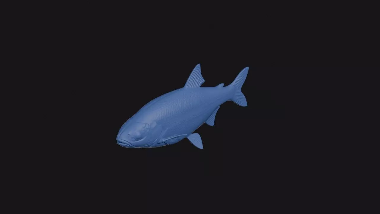 Acanthobrama Microlepis 3D print model