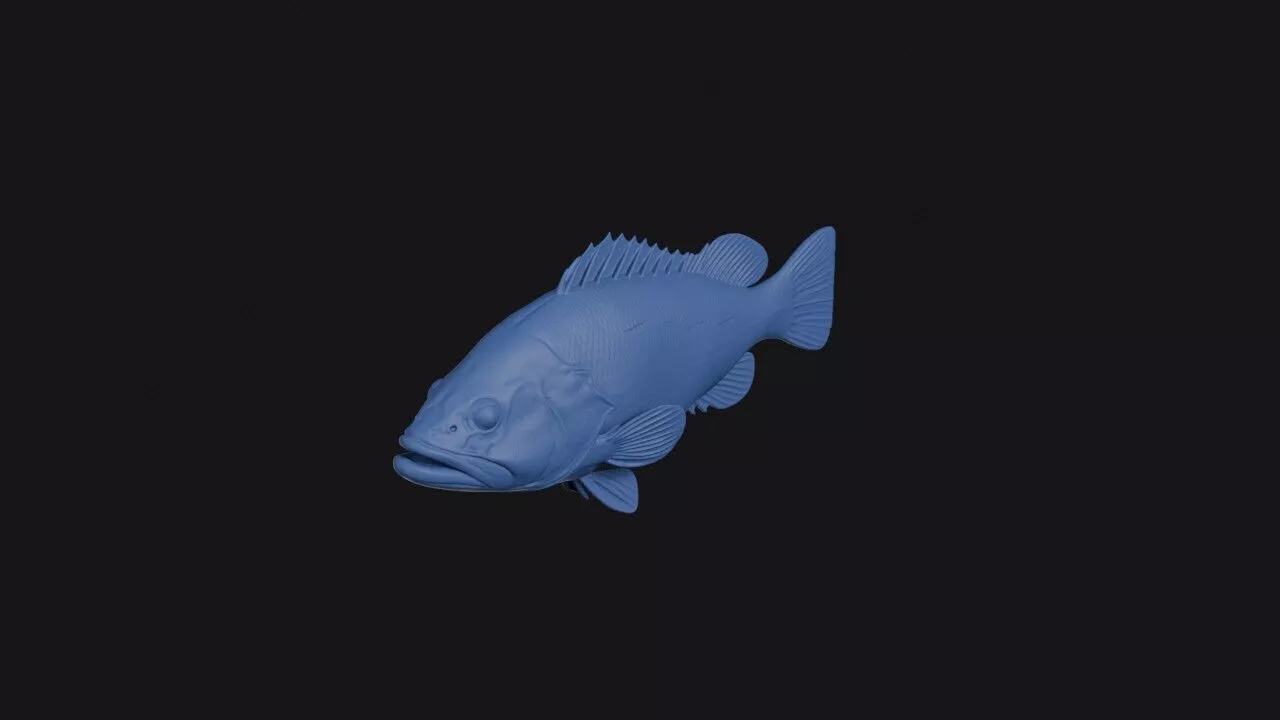 Marbled Rockcod 3D print model