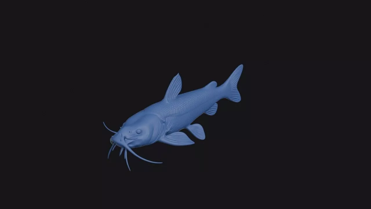 Marbled Mountain Catfish 3D print model