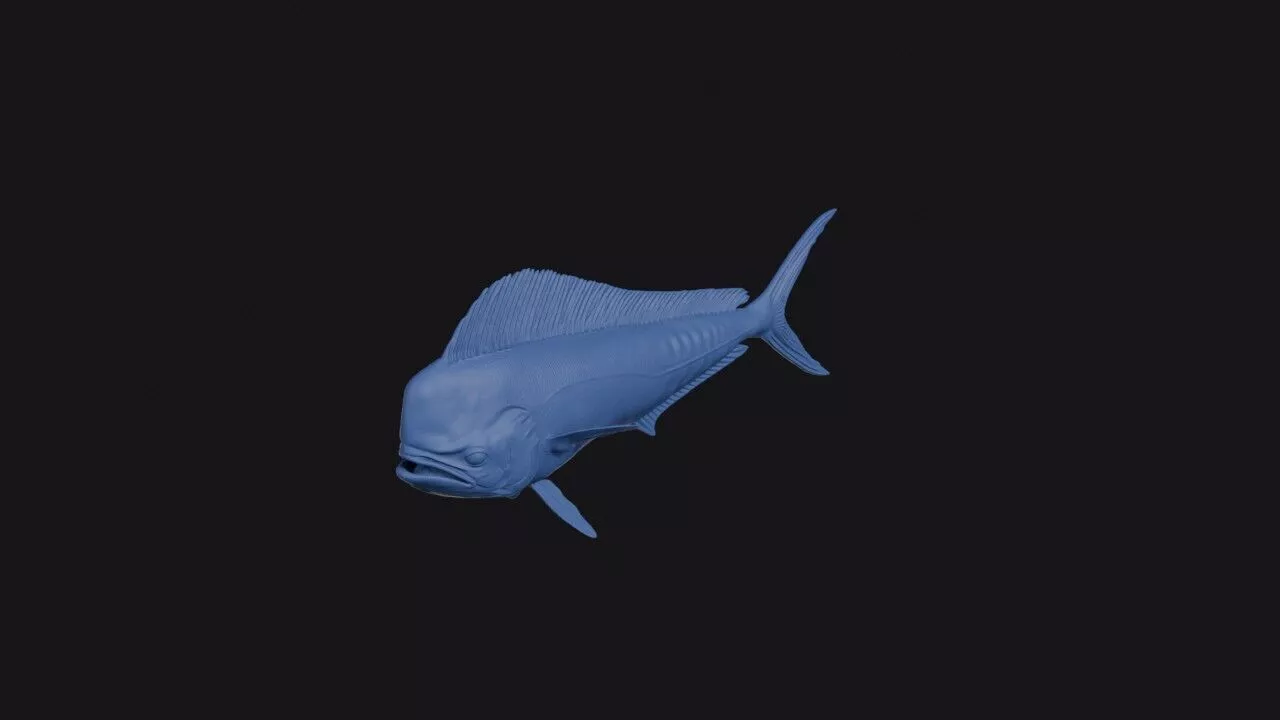 Mahi Mahi 3D print model