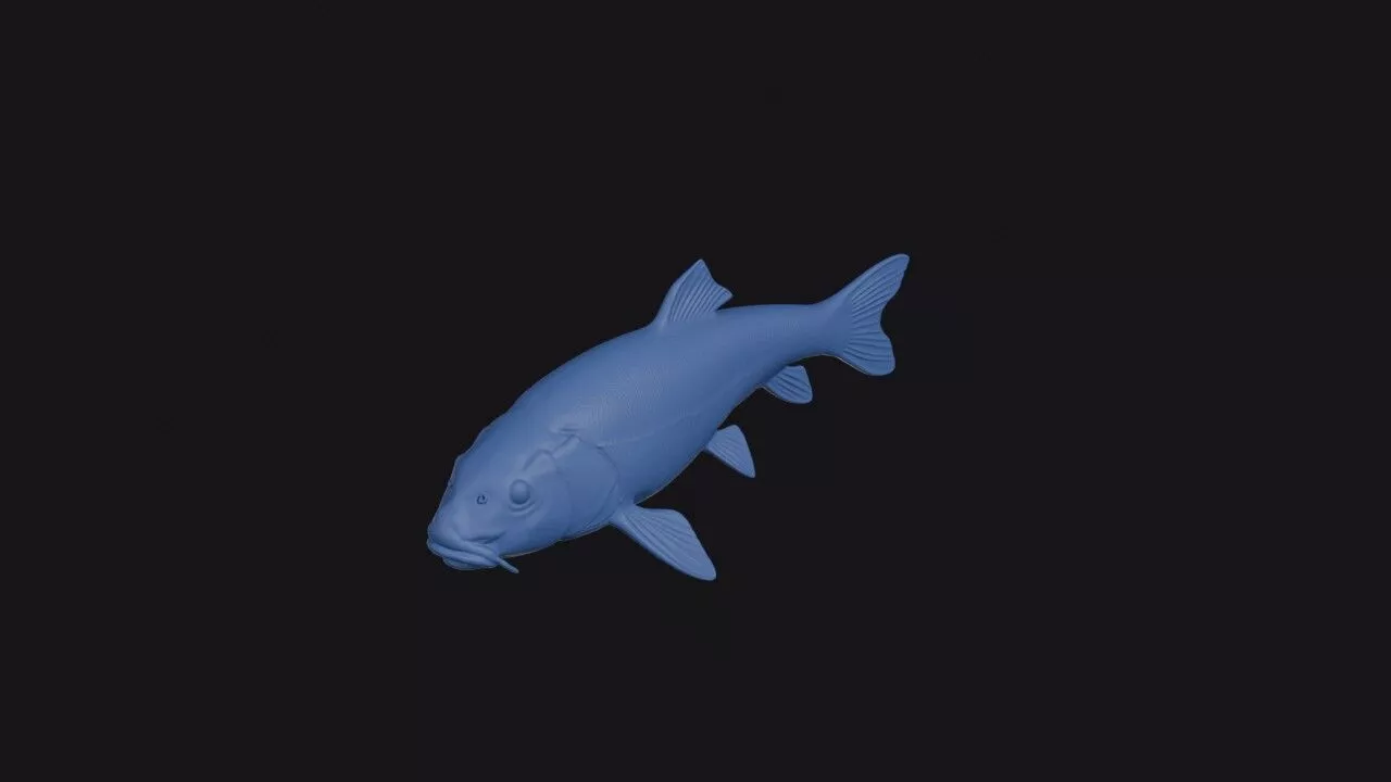 Lost River Sucker 3D print model