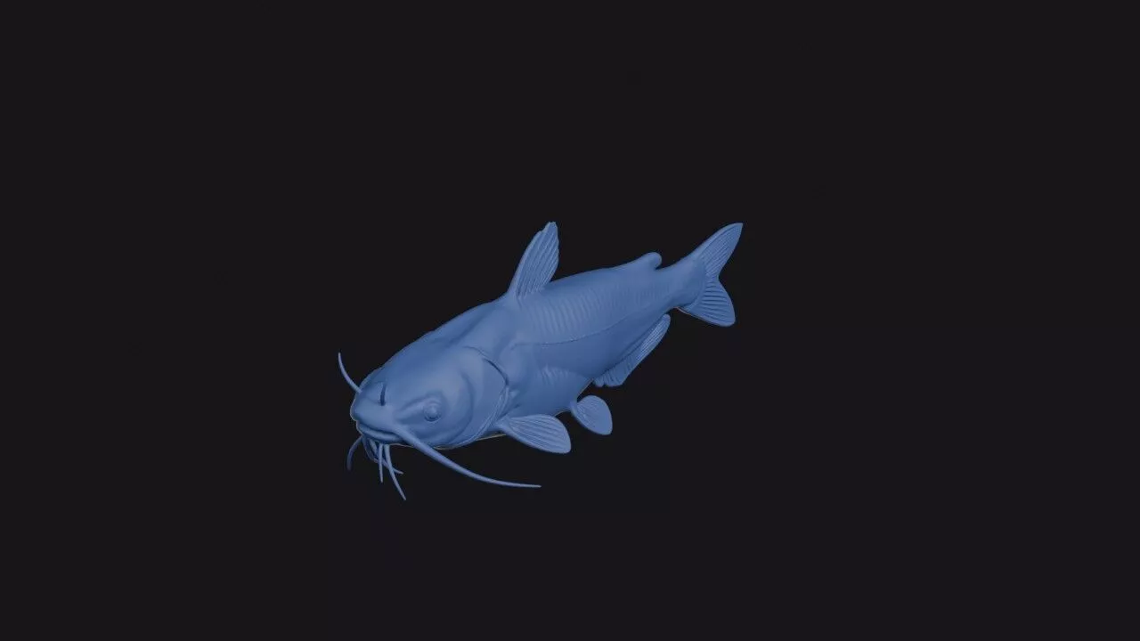 Lorentz Catfish 3D print model