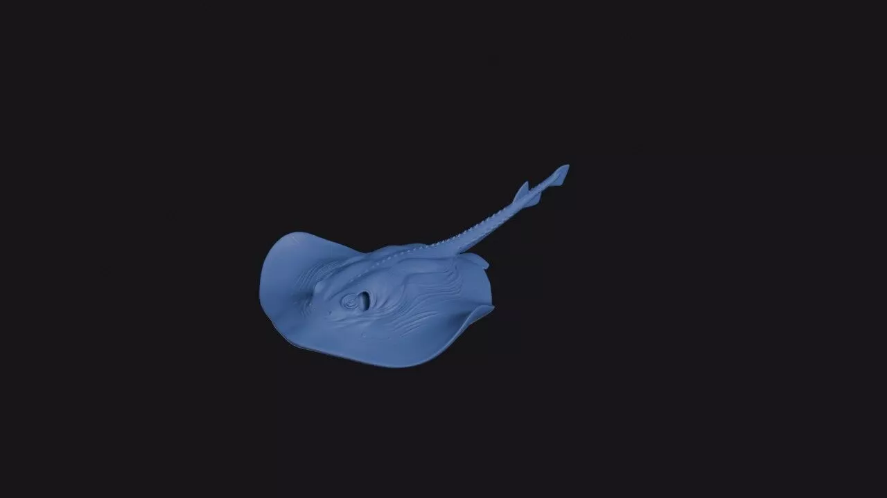 Long Tailed River Stingray 3D print model