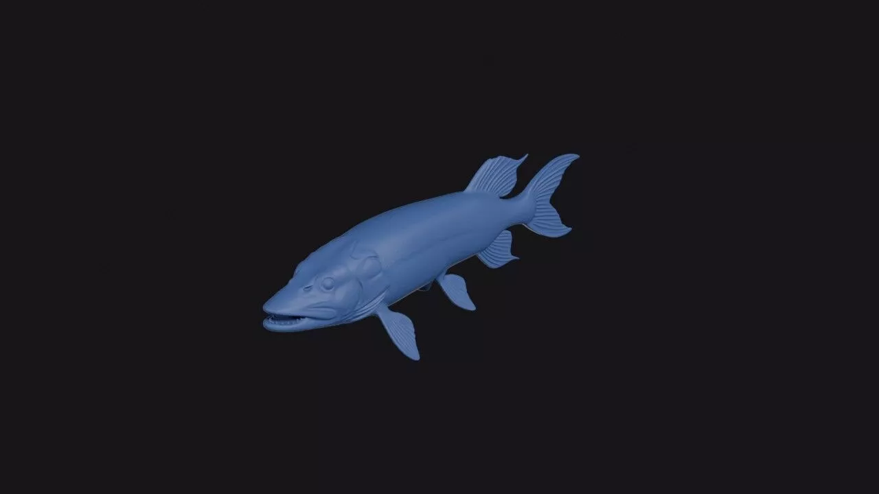 Long Finned Pike 3D print model