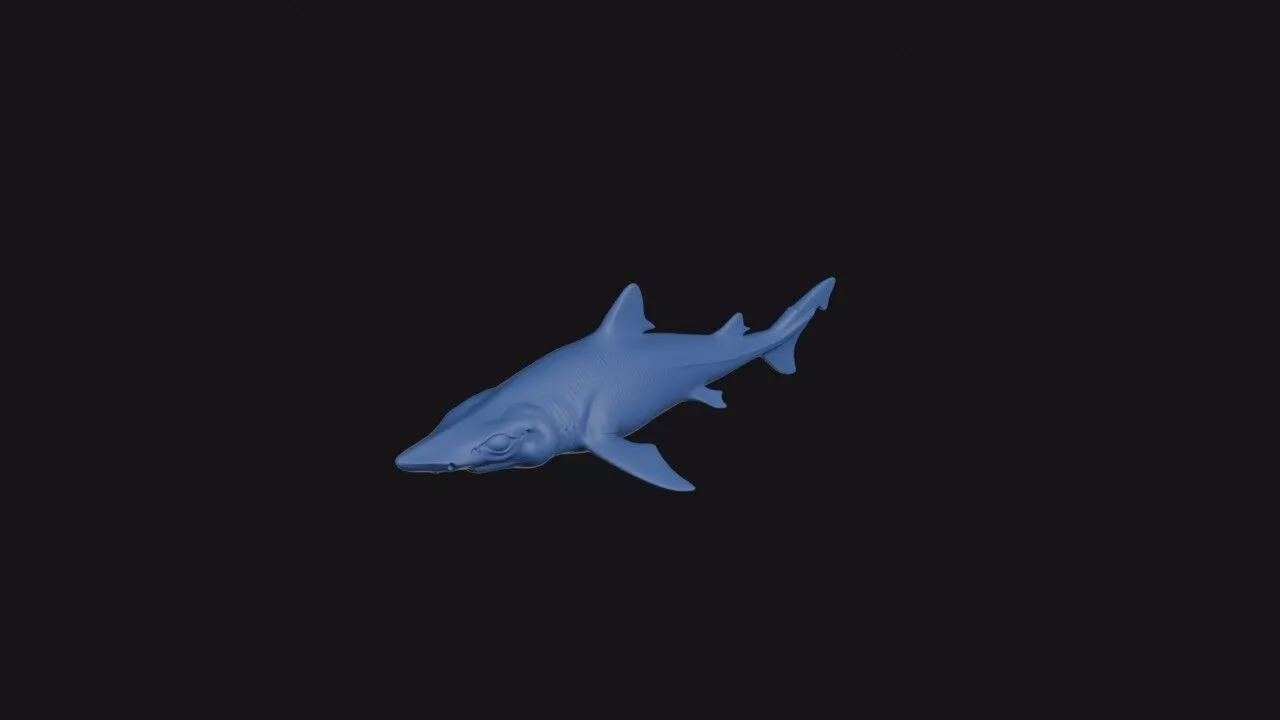 Longnose Velvet Dogfish 3D print model