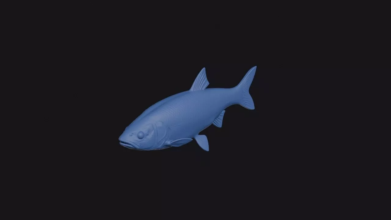 Leuciscus Vorax 3D print model