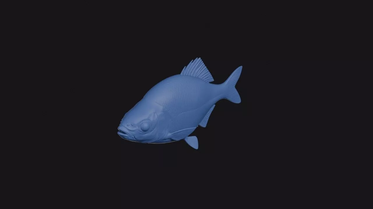 Khanka Spiny Bitterling 3D print model