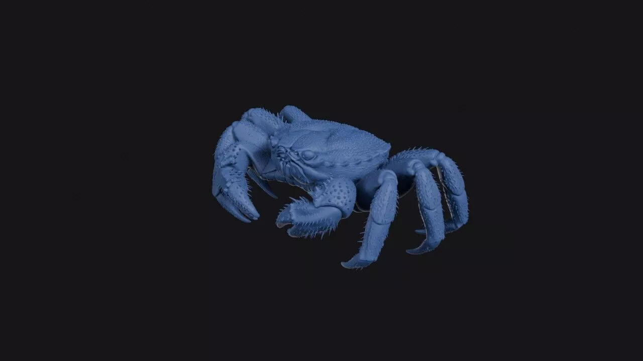 Horsehair Crab 3D print model
