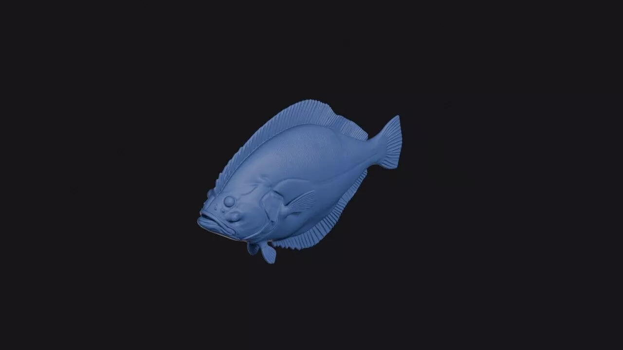 Harmands Sole 3D print model