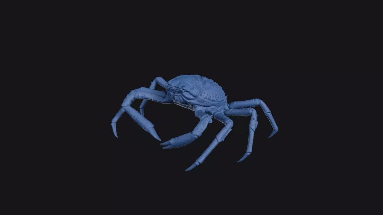 Great Spider Crab 3D print model