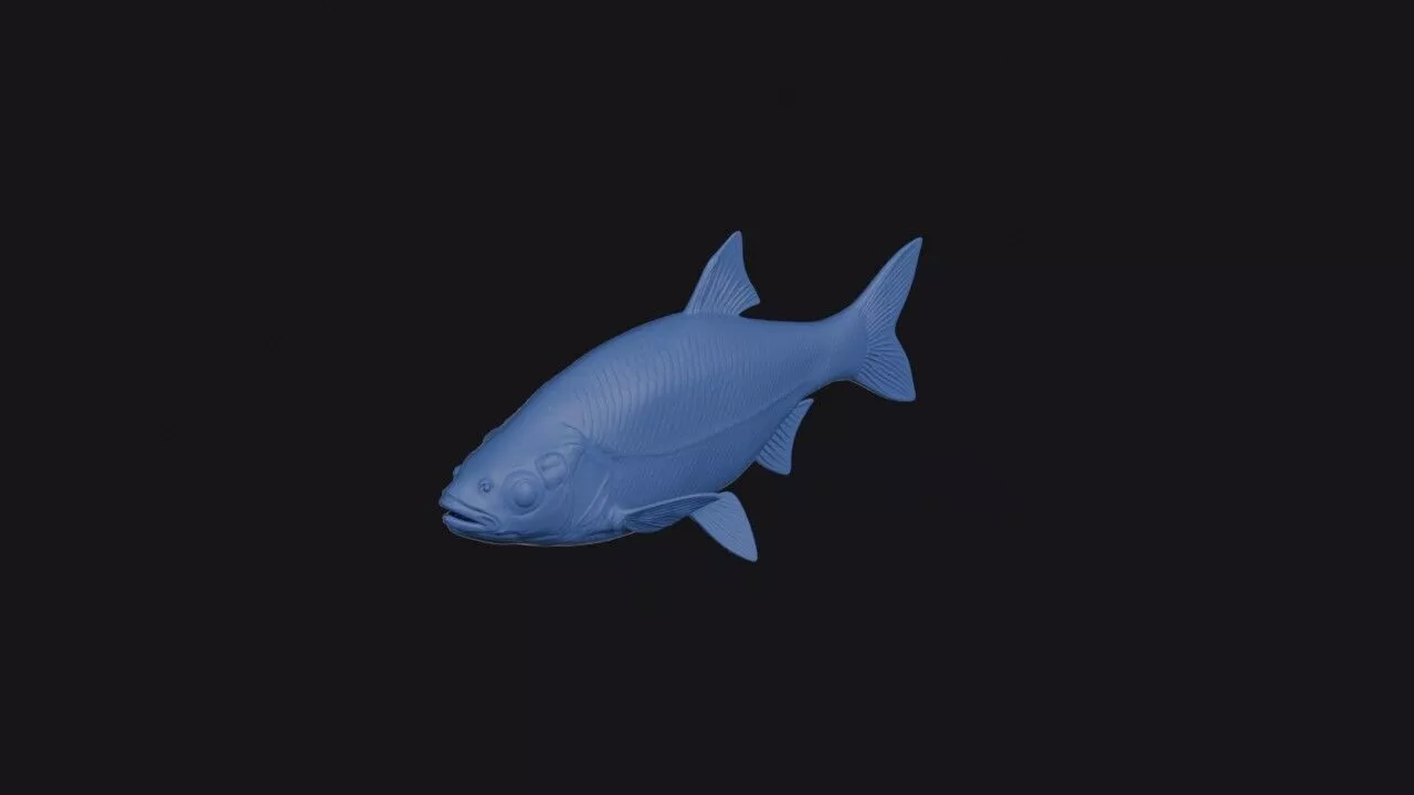 Golden Shiner 3D print model