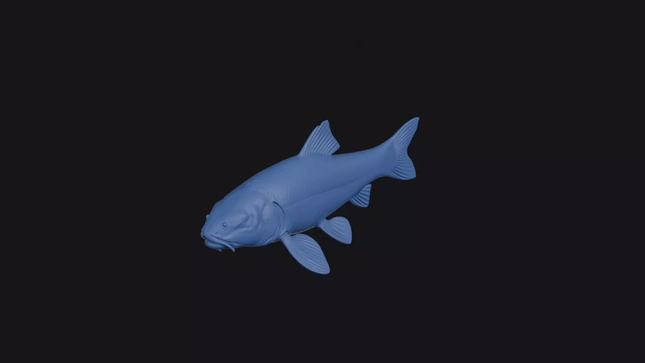 Garra Typhlops 3D print model
