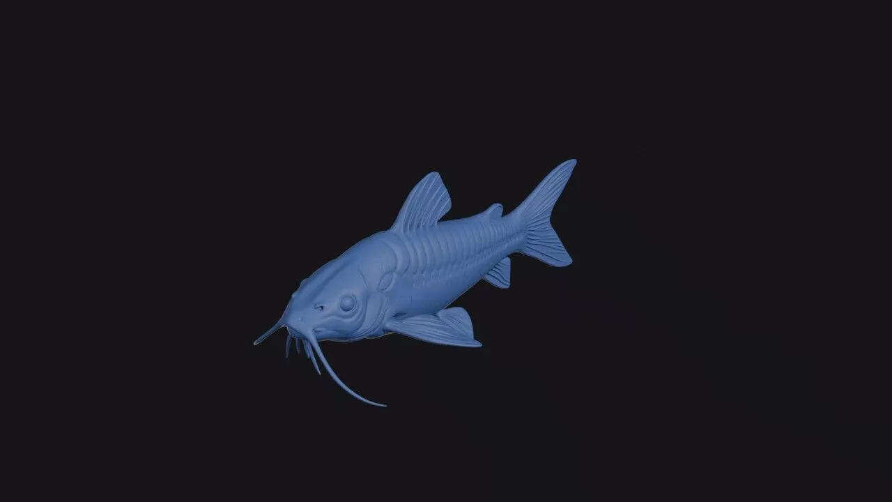 Flagtail Catfish 3D print model