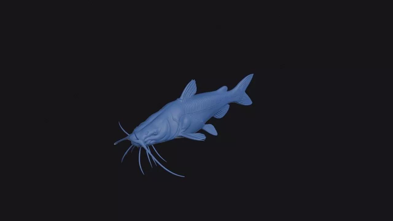 Firewood Catfish 3D print model