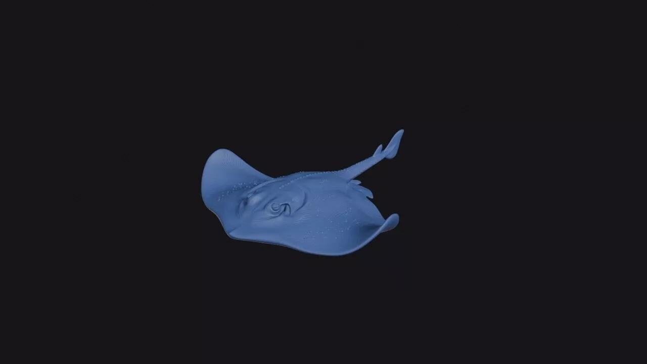Finless Sleeper Ray 3D print model