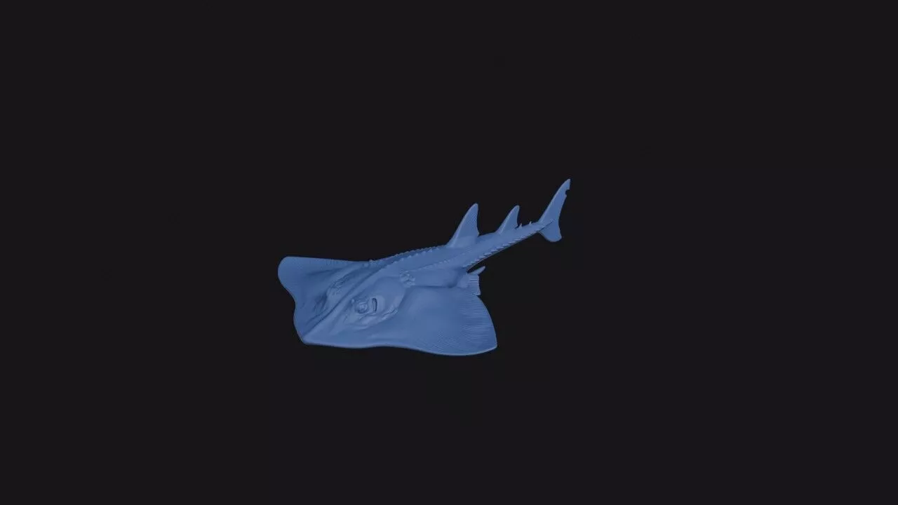 Fanray 3D print model