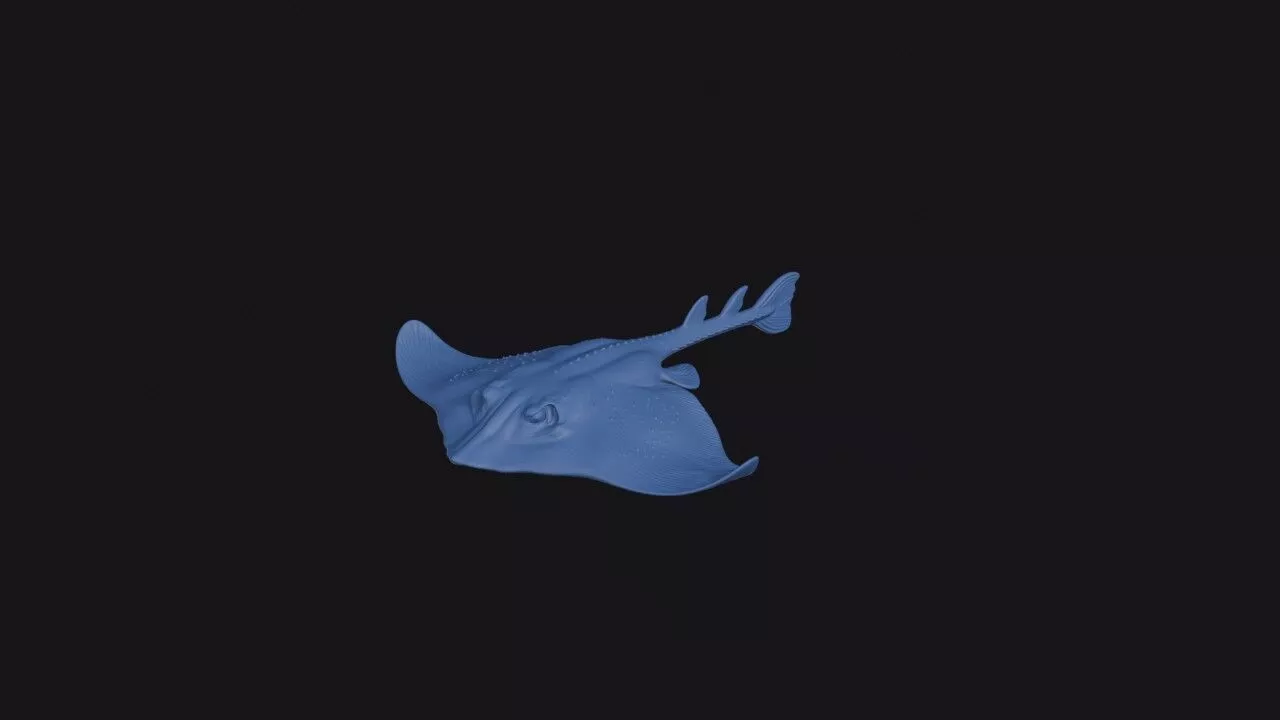 Fanfin Skate 3D print model