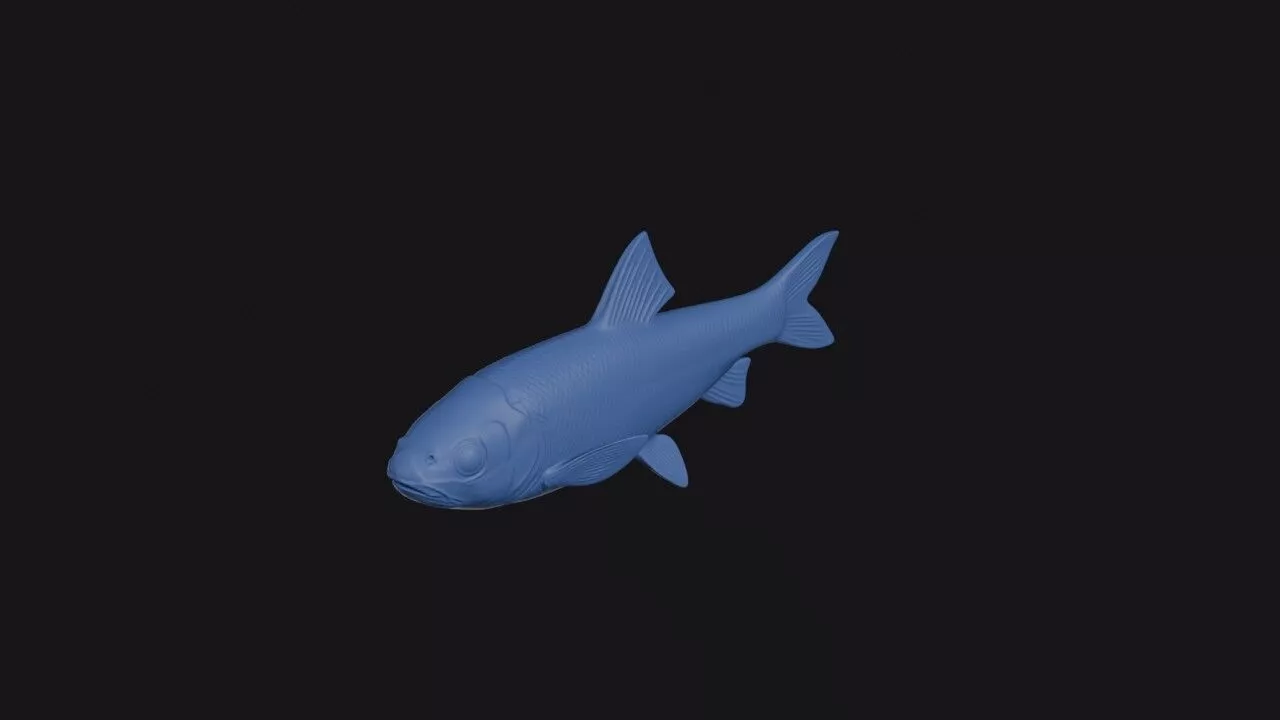 False Osman 3D print model