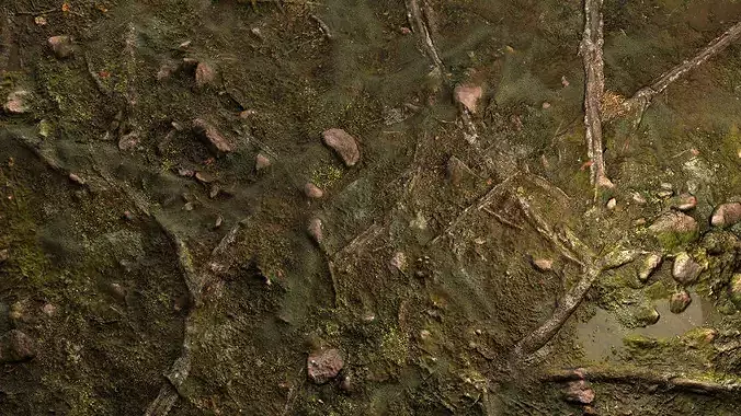 Wet Forest Floor 8K PBR Texture