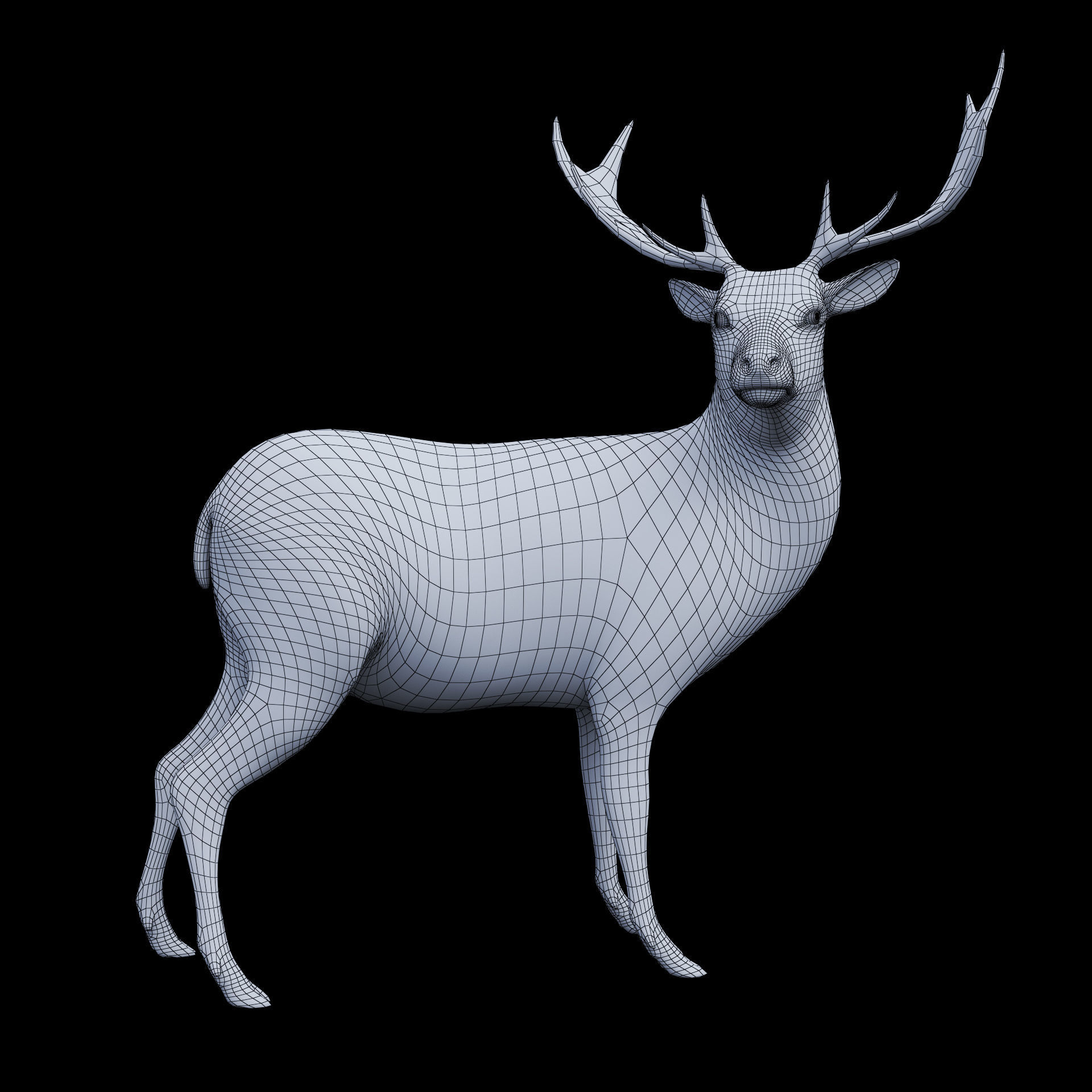 The Forest Deer Low-poly 3D model_5