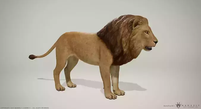 3D Lion and Lioness - Game Ready PBR Low-poly 3D model