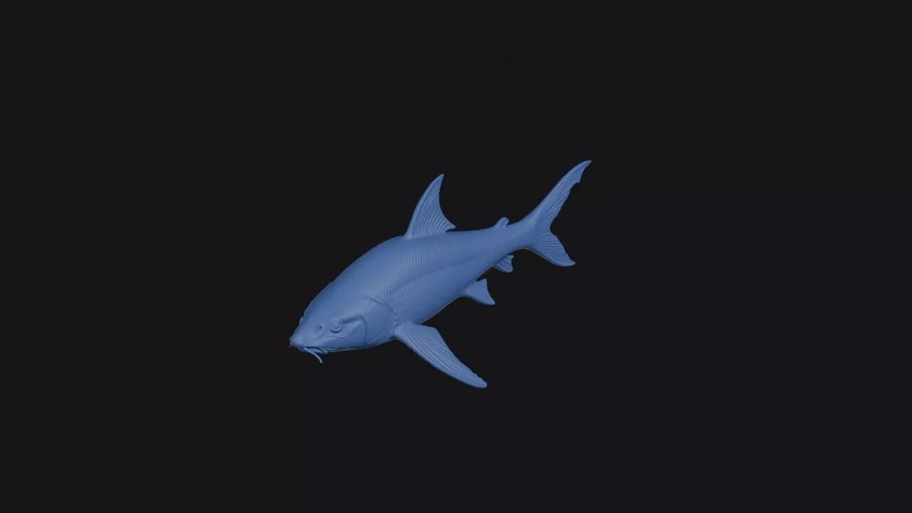 Red Tailed Black Shark 3D print model