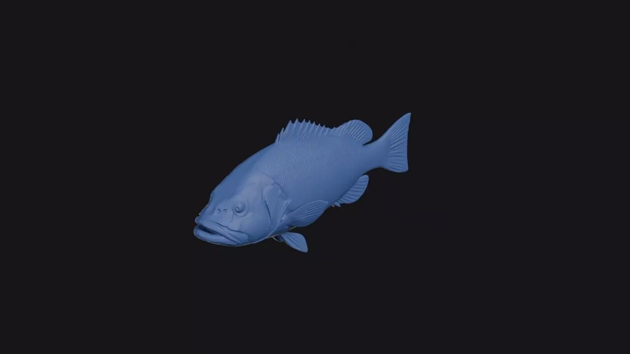 Redmouth Grouper 3D print model
