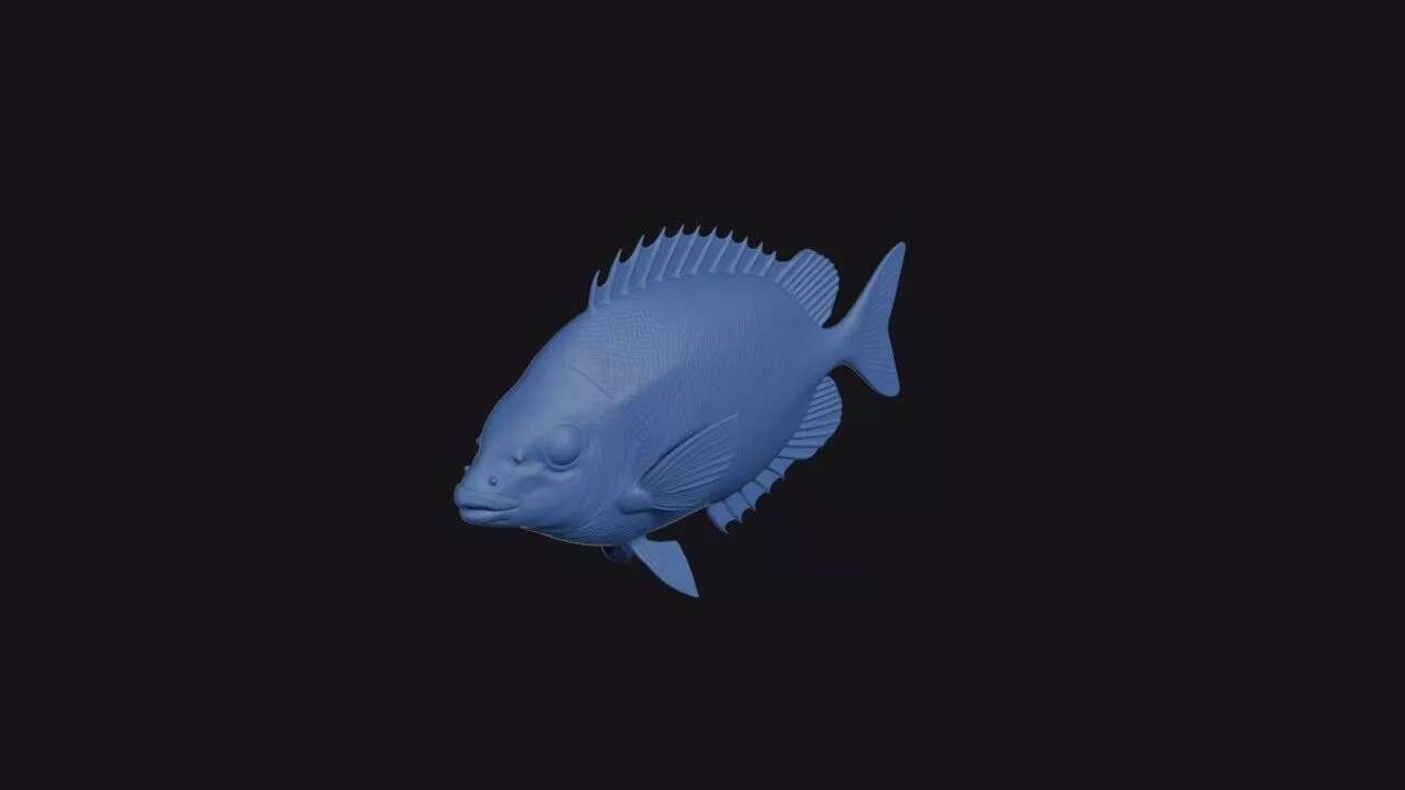 Rabbit Fish 3D print model