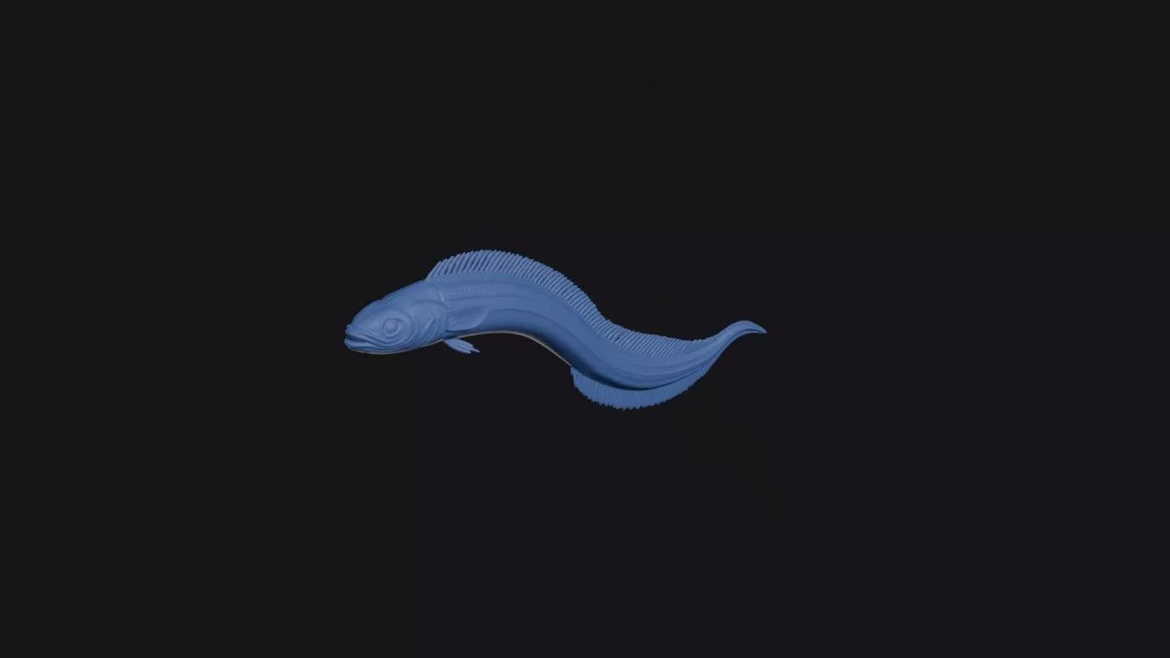 Quillfish 3D print model