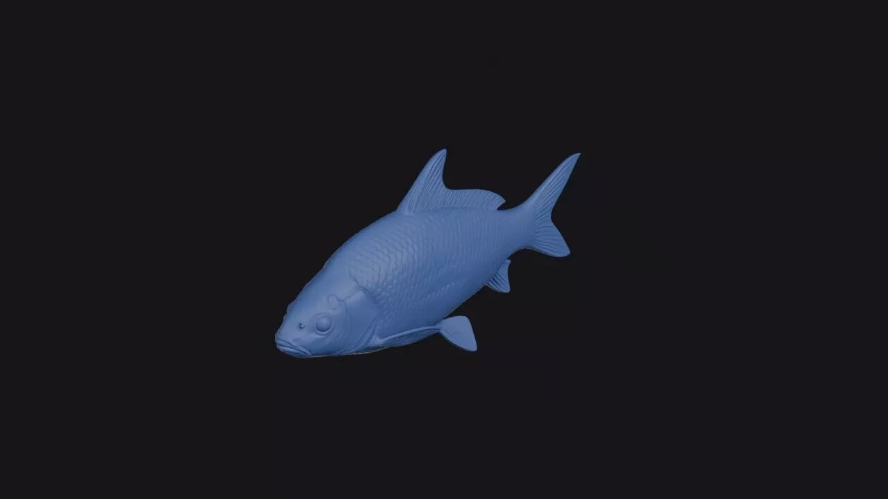 Quillback 3D print model