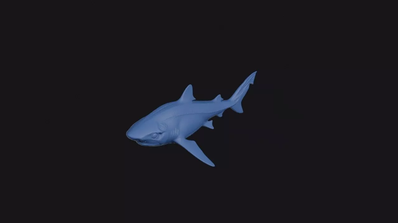 Pygmy Shark 3D print model