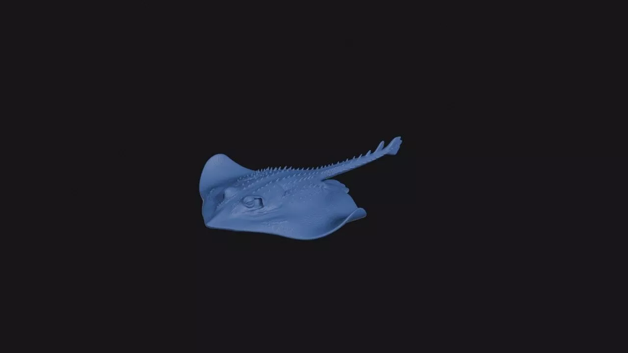 Prickly Deep Sea Skate 3D print model