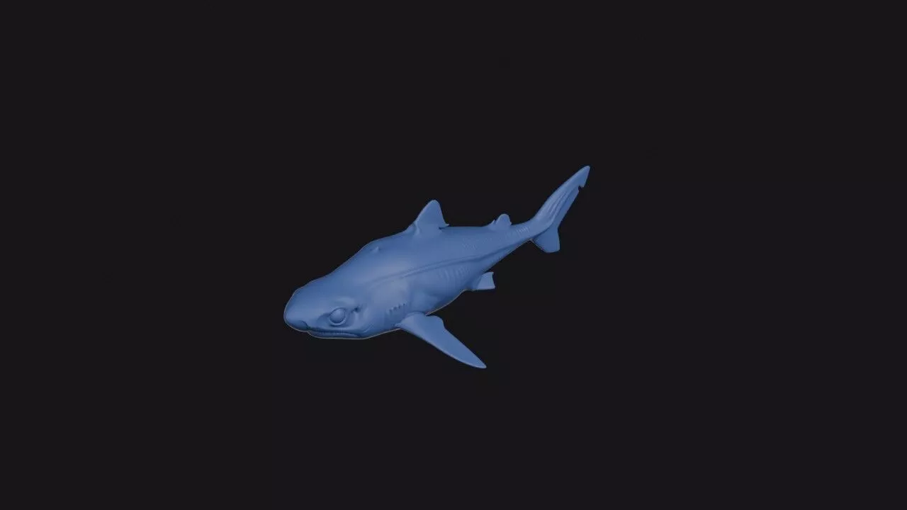 Portuguese Dogfish 3D print model