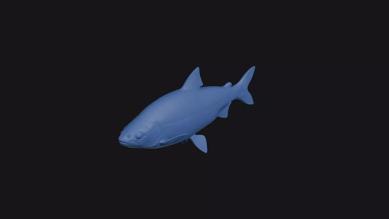 Peled 3D print model