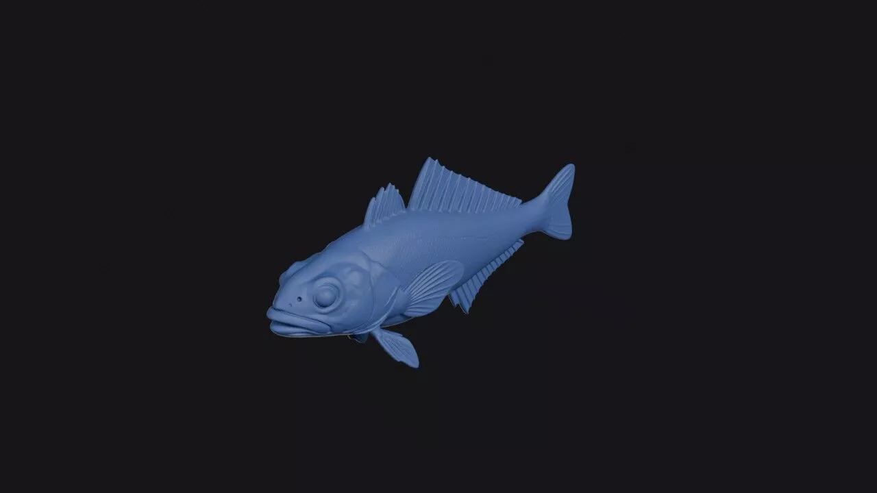 Patagonian Blennie 3D print model