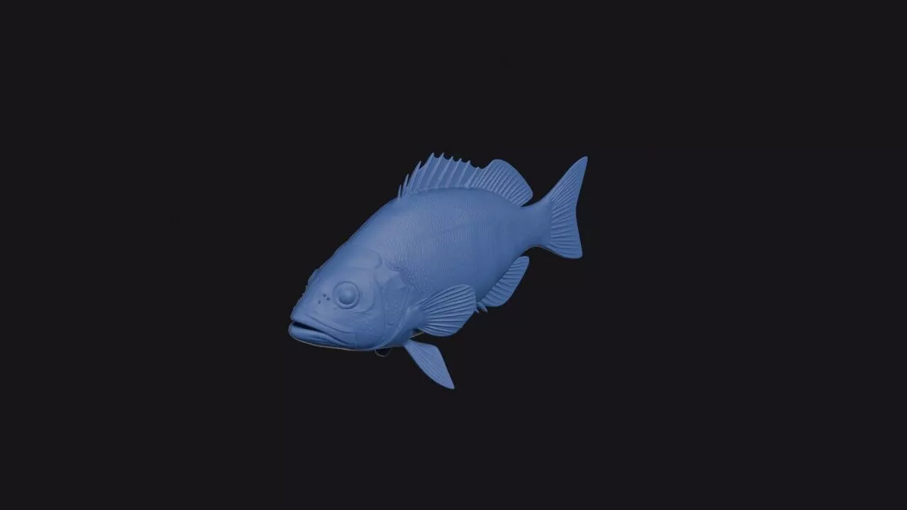 Painted Comber 3D print model