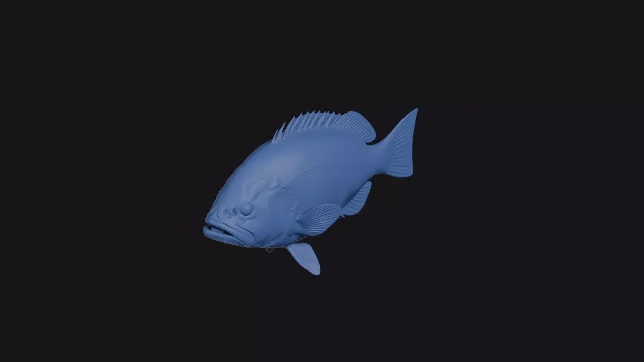 Oval Grouper 3D print model