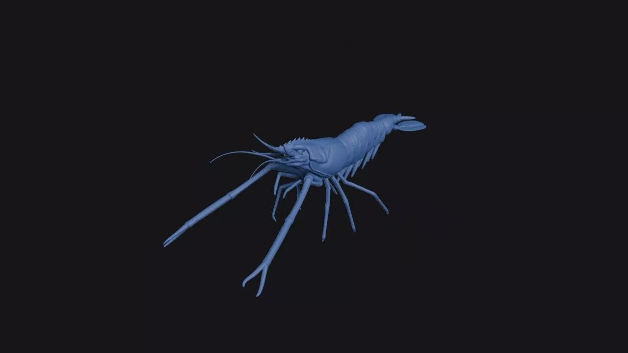 Oriental River Prawn 3D print model