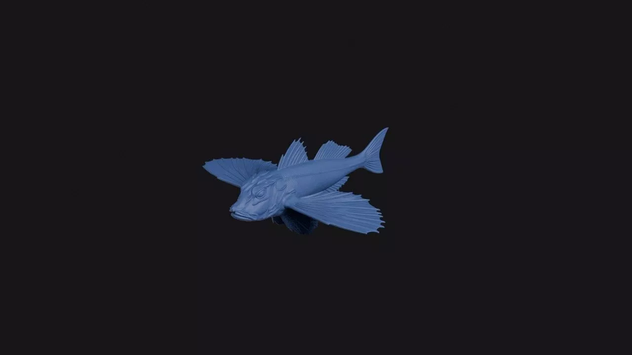 Oriental Flying Gurnard 3D print model